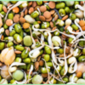 MIX SPROUTS